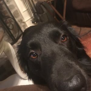 Meet your Posher, Rhett